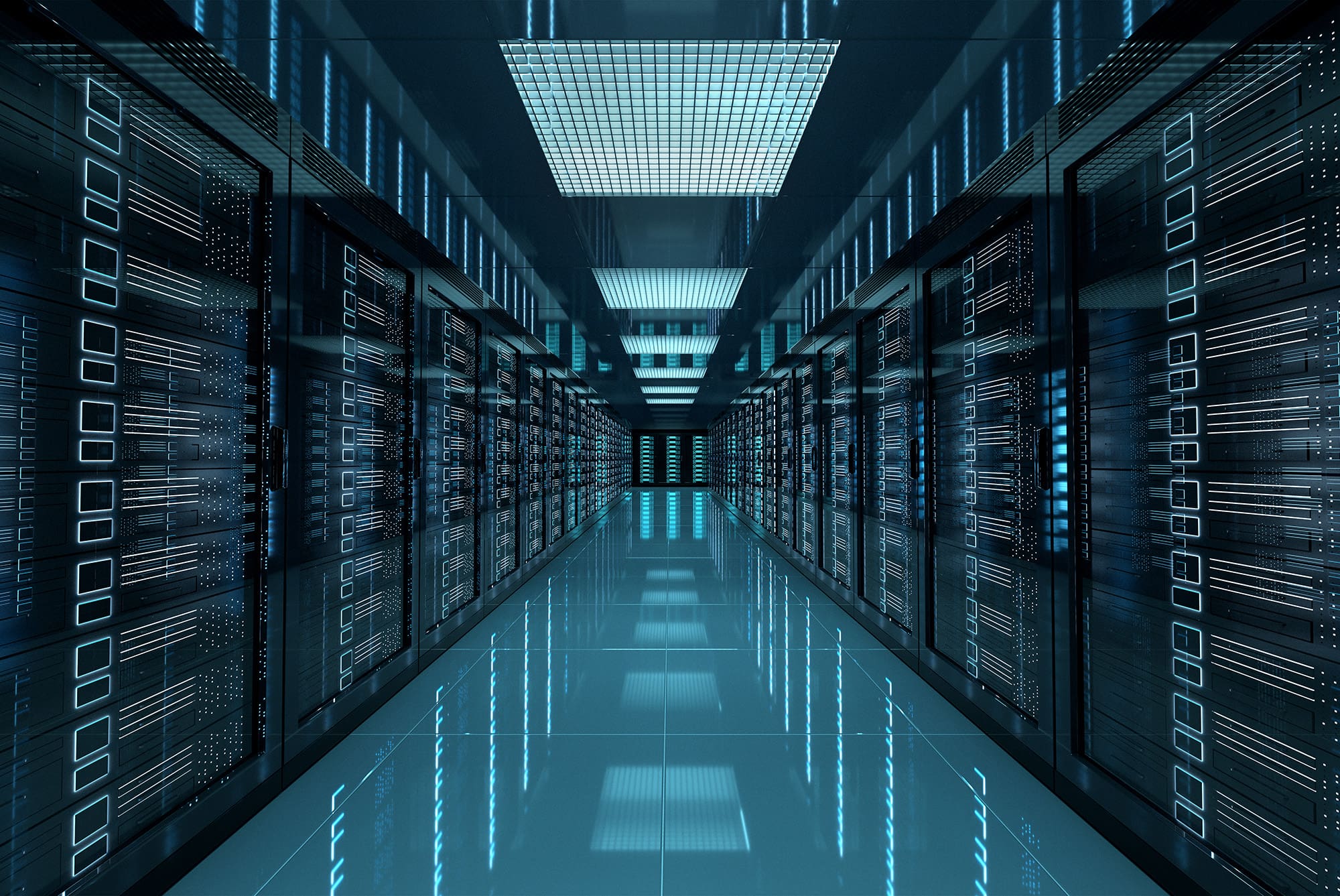 website hosting website hosting